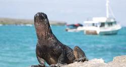 Highlights of the Galapagos (On The Go Tours)