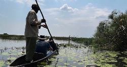 Chobe & Okavango Discovery (On The Go)