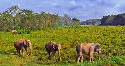 Nepal to Golden Triangle & Goa (On The Go)