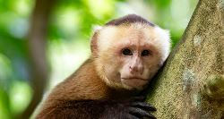 Highlights of Colombia (On The Go)