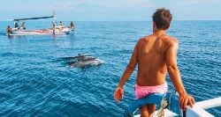 Bali & Gili Islands Encompassed (On The Go)