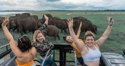 Sri Lanka Youth Adventure (On The Go)