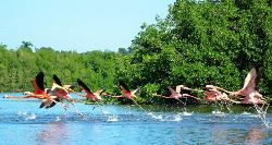 Cuba Uncovered (On The Go)