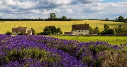 Ancient Greece & Western Balkans (On The Go)