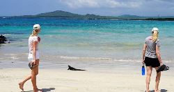 Galapagos Islands Explorer (On The Go)