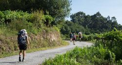 Camino de Santiago From Lugo (On The Go)