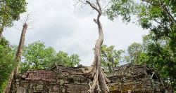 Indochina Express From Saigon (On The Go)