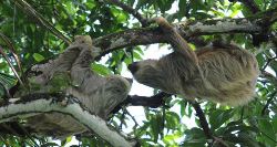 Captivating Costa Rica (On The Go)