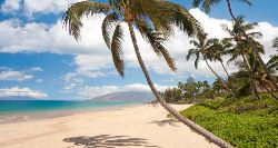 Maui & Hawaii Discovery (On The Go)