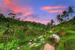 Highlights of Bali and Java (Costsaver)