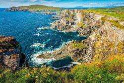 Irish Wonder (Costsaver)