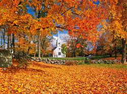 Fall Colours of New England (Costsaver)