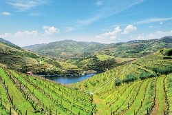 Hike in Porto, the Douro Valley (Portugal), and Salamanca (Spain) (port-to-port cruise) (Croisi Europe)