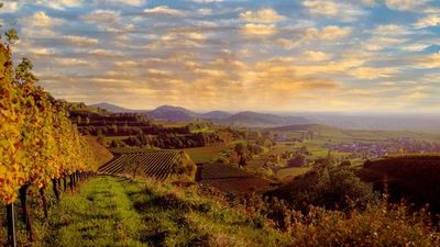 Autumn Splendor on the Rhine: Cruise & Hikes through the Rhineland (port-to-port cruise) (Croisi Europe)