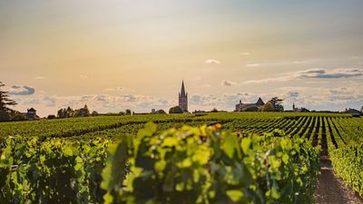 Oenological cruise: At the heart of a prestigious wine region (port-to-port cruise) (Croisi Europe)