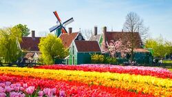 Springtime in Holland (port-to-port cruise) (CroisiEurope)
