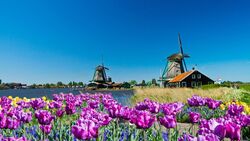 Holland and the romantic Rhine valley (port-to-port cruise) (CroisiEurope)