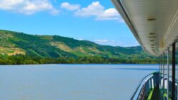 All the must-see sites on the Rhône between Lyon, Provence, and the Camargue with a dinner at Paul Bocuse's Abbaye de Collonges Restaurant OFFERED (port-to-port cruise) (CroisiEurope)