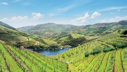 Cruise and Hikes in The Douro Valley, A Nature Lover's Dream (port-to-port cruise) (CroisiEurope)