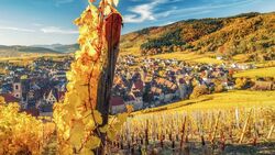 Alsace: land of tradition and gastronomy (port-to-port cruise) (CroisiEurope)