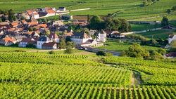 Fine Food and Wines on a Cruise through the Burgundy Region (port-to-port cruise) (CroisiEurope)