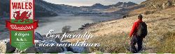 Wandelreis Wales, 8 dagen (Djoser)