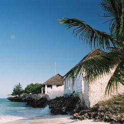 Rondreis Oeganda, Tanzania & Zanzibar, 21 dagen hotel/kampeerreis (Djoser)