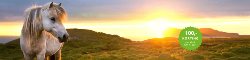 Familierondreis Zuid-IJsland (Nrv Holidays)