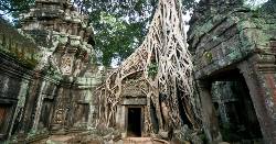 Cambodia Highlights (Explore!)