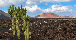 Picture:Canary Islands Walking - Lanzarote