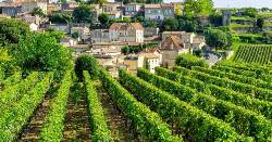 A Taste of Southern France  - Bordeaux to Toulouse (Explore!)