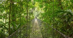 Highlights of Costa Rica (Explore!)