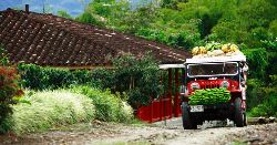 Contrasts of Colombia (Explore!)