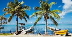 Discover Belize (Explore!)