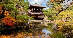 Cycle Japan (Explore!)