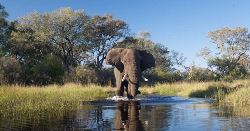 Family Botswana and Zimbabwe Safari Adventure (Explore!)