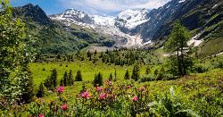 Tour du Mont Blanc Trek (Explore!)