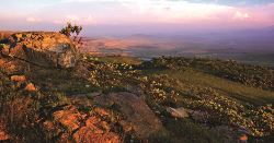 South Africa & Eswatini (Explore!)