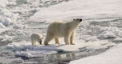 Journey to the Geographical North Pole - Le Commandant Charcot (Explore!)