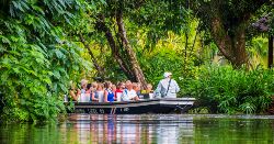 Upgraded - Costa Rica Wildlife (Explore!)