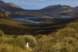 Subantarctic Discovery - Douglas Mawson (Explore!)
