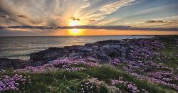 Wild Scotland - Douglas Mawson (Explore!)