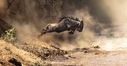 Upgraded - Highlights of Kenya (Explore!)