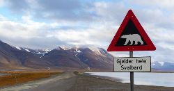 Realm of the Polar Bear - Expedition (Explore!)