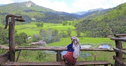 Family Thailand: Best of the North (Explore!)