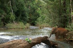 Natuurlijk Cambodja (Van Verre)