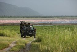 Ngorongoro Krater & Lake Manyara (Van Verre)