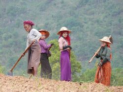 Actief & Cultureel Myanmar (Van Verre)