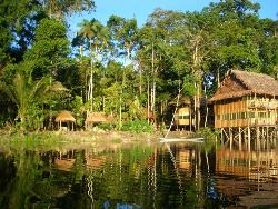 Junglebeleving Amazone (Van Verre)