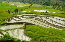 Veelzijdig West-Sumatra (Van Verre)